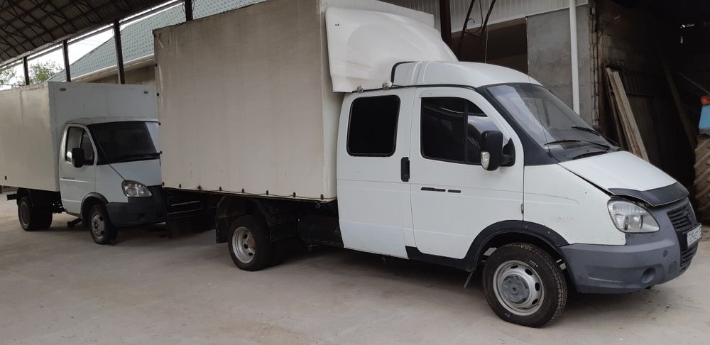 Газельдер сатылады. Продается газельи