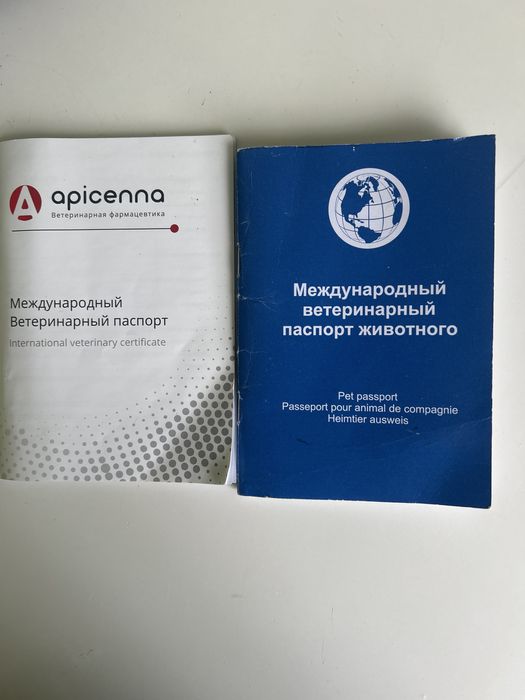 немецкий овчарка