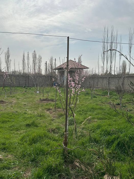Sotiladi holati yengi pishiq g’ishtdan qurilgan