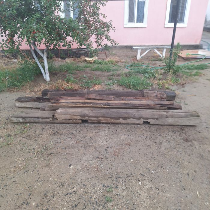 Томар ағаштар бесплатно