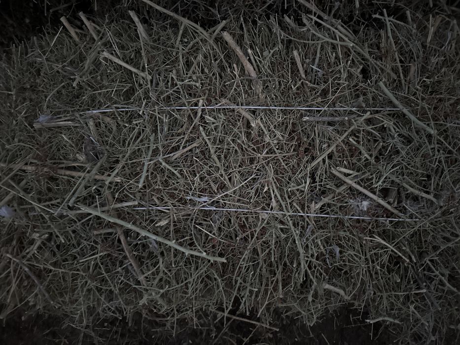 Жантак бар багасы 1000