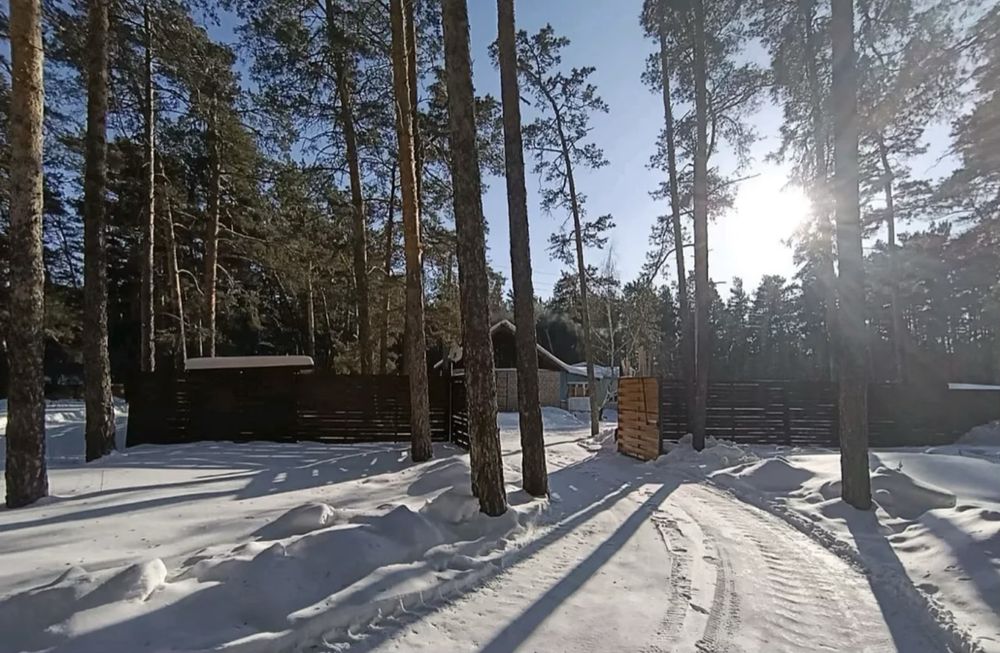 Продам дом в лесу