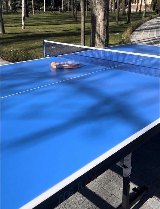 Настольный теннис