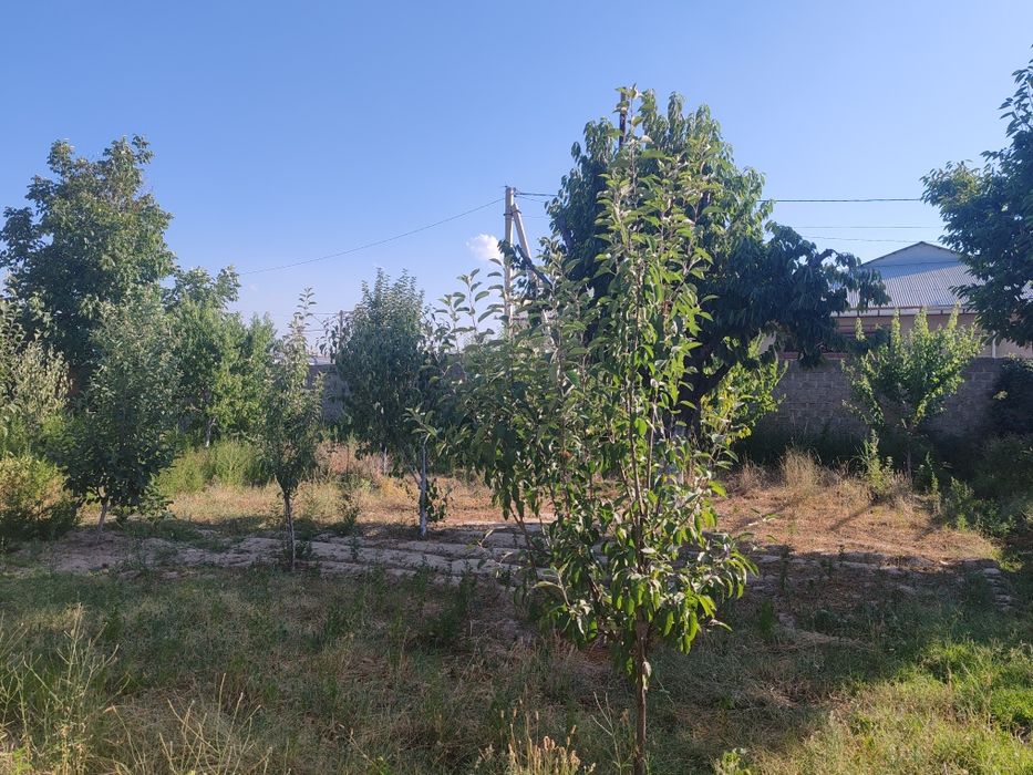 Срочно ер участка сотилади