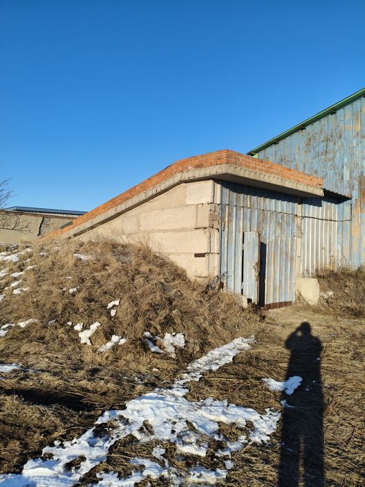 Сдам в аренду овощехранилище