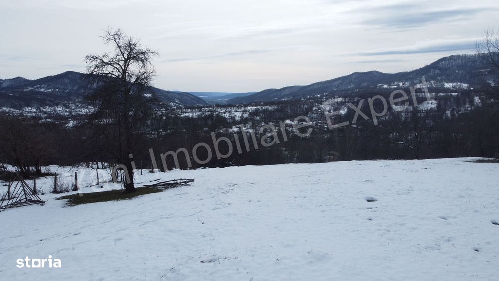 Teren de vânzare în comuna Brăduleț, sat Brăduleț, județ Argeș.