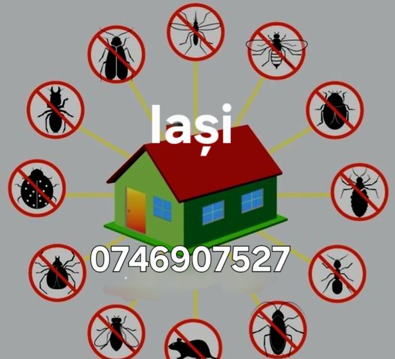 Deratizare dezinsecție