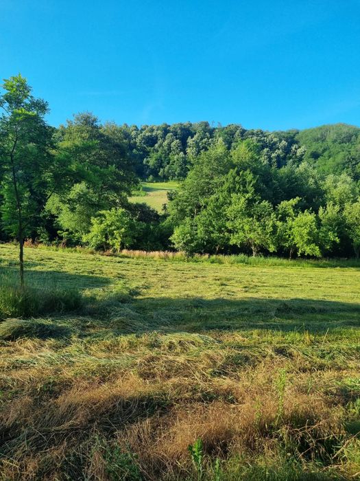 De vânzare proprietate deosebită in judetul Bihor Comuna Orvisele