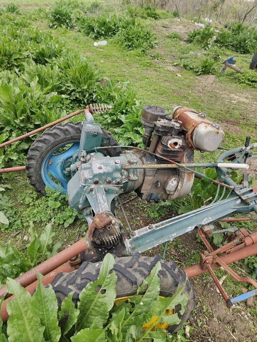 Vând motocultor și motocoasa