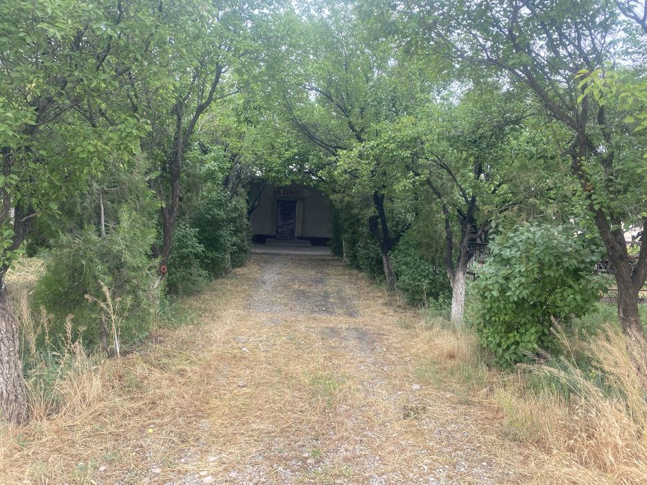 Кафе, пивнушка, летний кафе