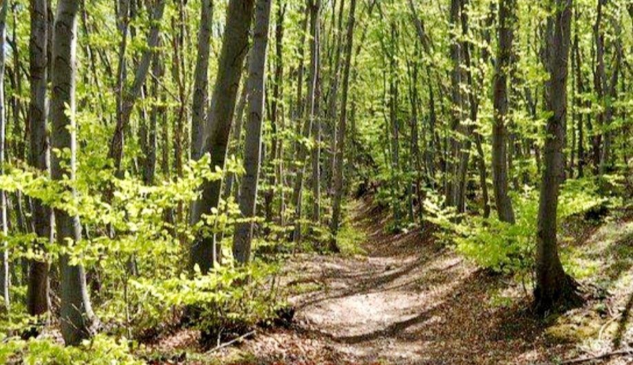 Продавам парцел в Бояна, София