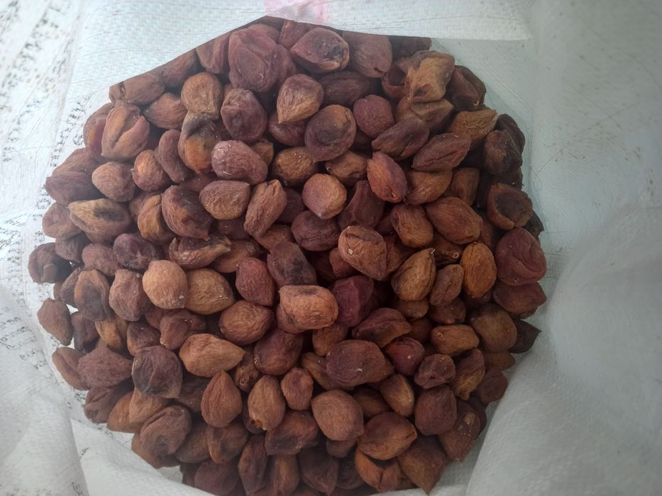 Өрік қақ сатылады