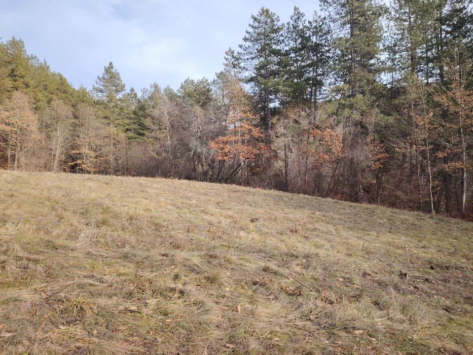 Продава се Парцел в с. Добърчин, Област София-област - 3972 кв.м за 6 €/кв.м - Снимка #3