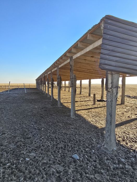 Фазенда мал шаруашылығына