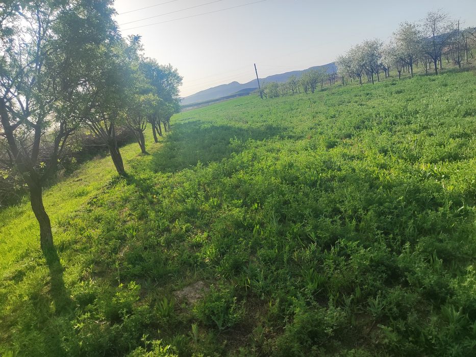 Uy sotiladi yaxshi joy