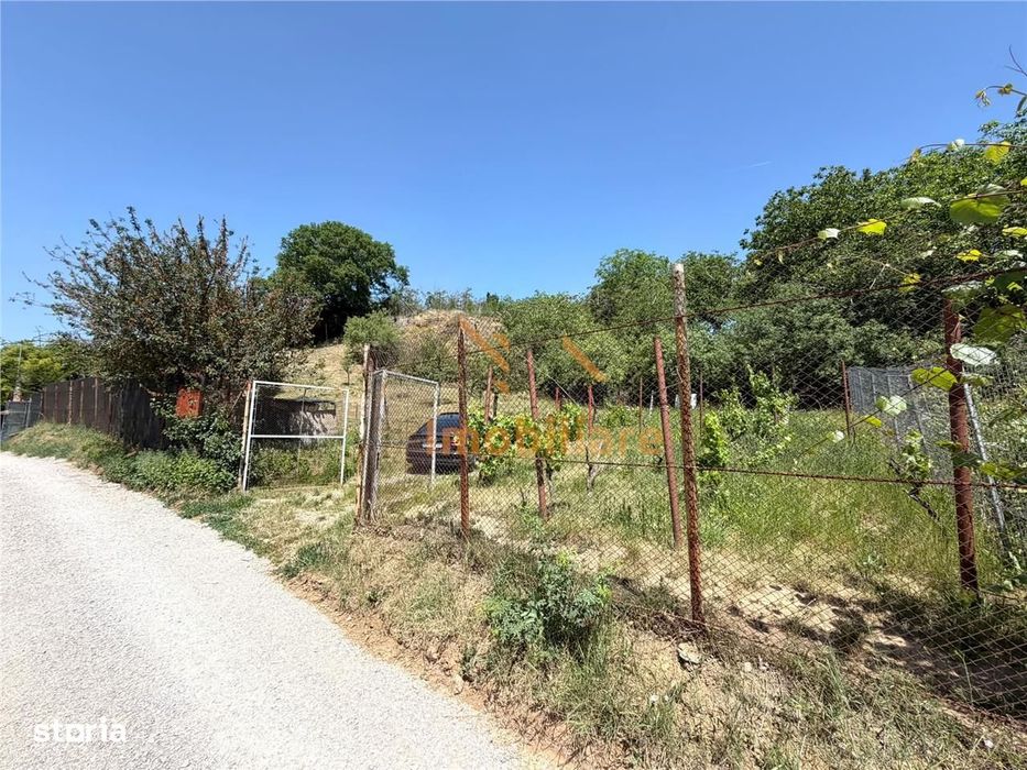 Teren Intravilan Cu Pivnita | 884 Mp | Zona Episcopia | Oradea