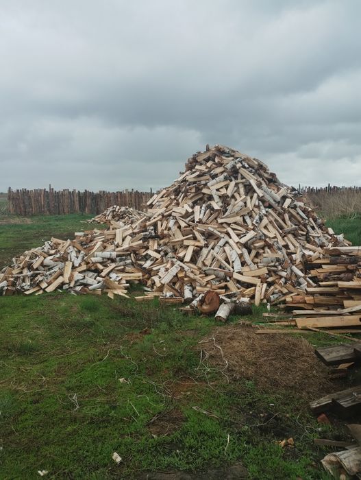 Дрова берёза колытые сухие