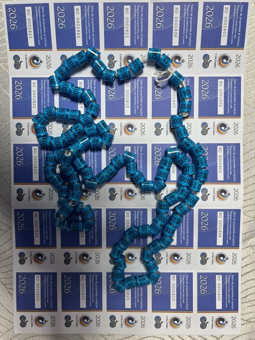 Vând inele fci 2026