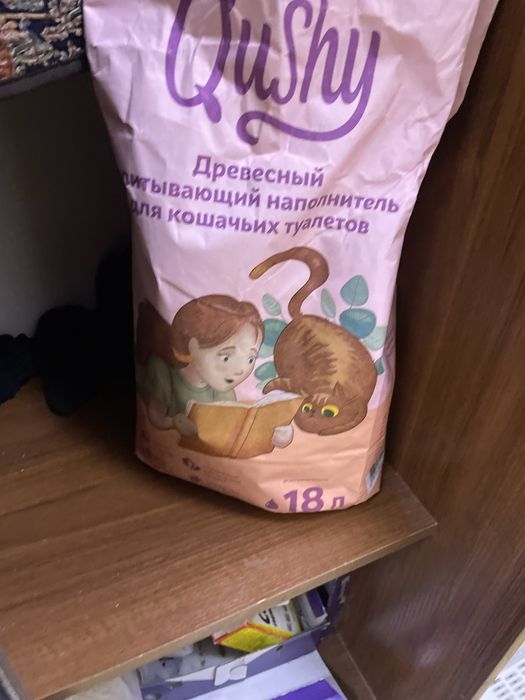 Отдам кошку в добрые руки