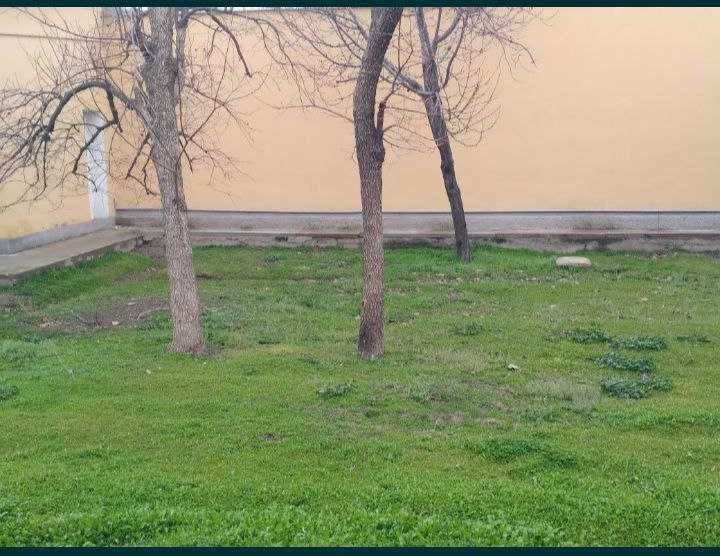 Хазора томонида жойлашган 10 хонали ховли сотувда