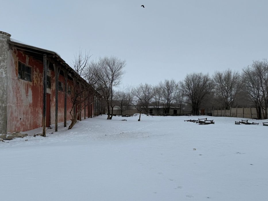 Продам крестьянское хозяйство