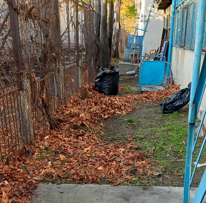 Почистване на сезонен листопад и растителни отпадъци