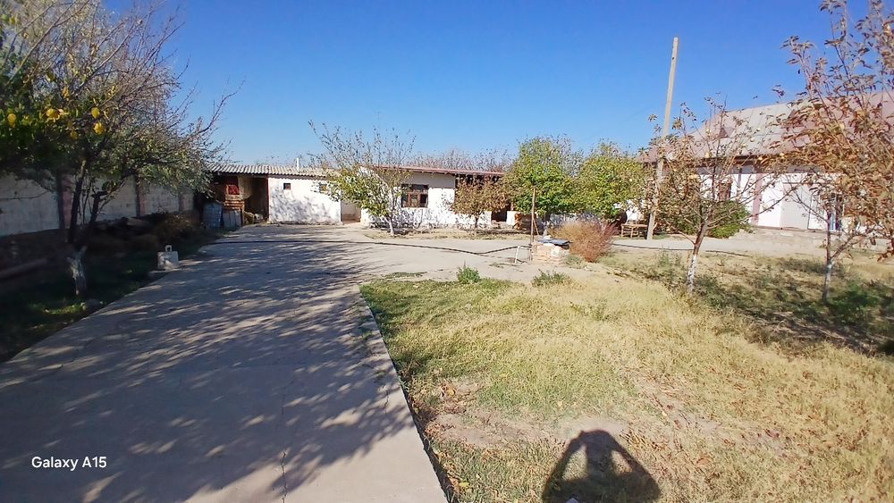 Uy, hovli-joy. Tinch osuda mahallada