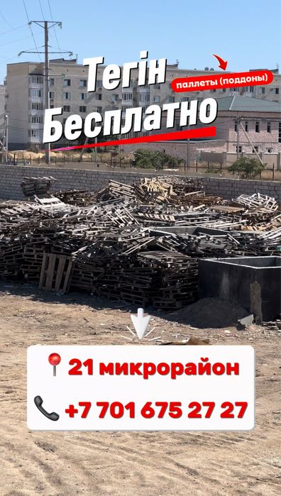 Тегін-Бесплатно.