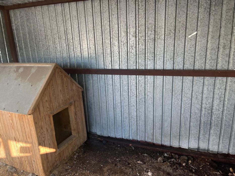 Вольер 2на3 + будка