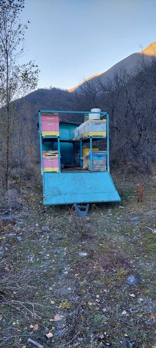 Пчелоприцеп,пчелопавильон