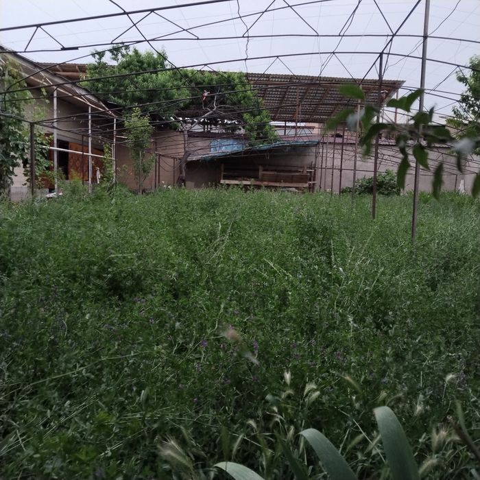 Yer sotiladi 3 sotix