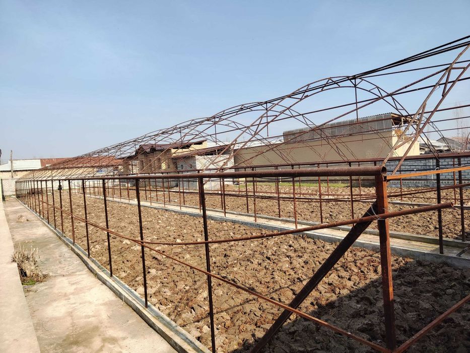 14 sotixli uy sotiladi, tayyor biznesi bilan!