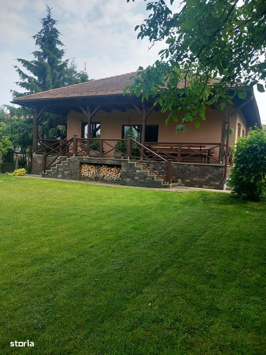 Proprietate cu 2 case, garaj și spațiu comercial, 1260 mp,Sangiorgiu