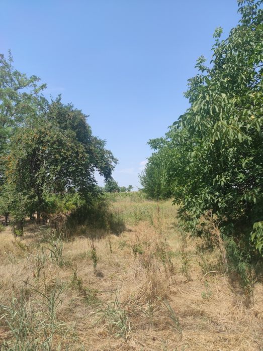 Vand urgent Teren extravilan Tudor Vladimirescu Braila