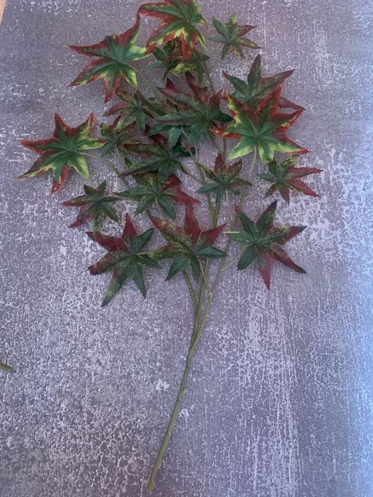 Осенние листья зелёные