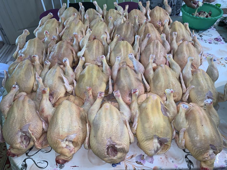 Тауқ еті, Куринны мясо