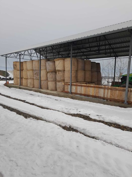 Vând baloți fân, infoliați, siloz