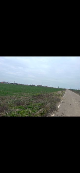 Teren intravilan 17.000 mp – Gostilele | Investiție excelentă