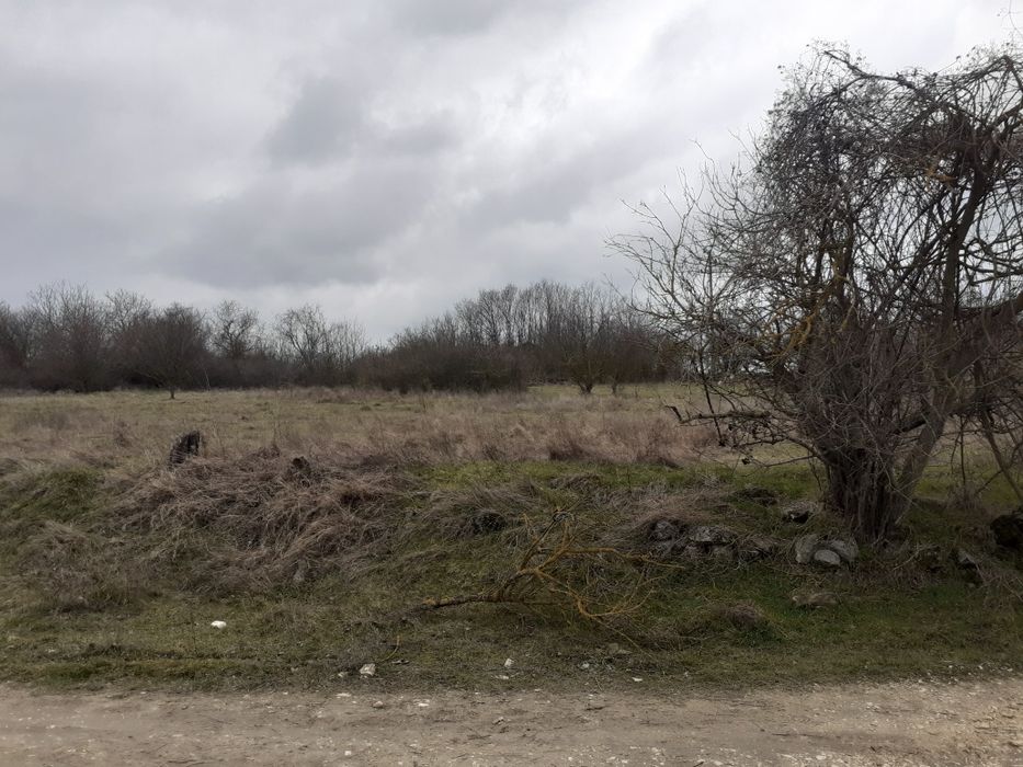 Продава се Парцел в Белослав - 5012 кв.м за 14 €/кв.м - Снимка #4