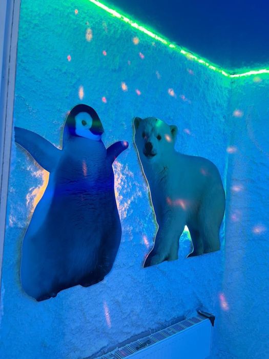 Тұзды бөлме ( Солевая комната)