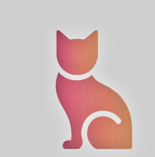 котёнок. девочка возраст 3 месяца