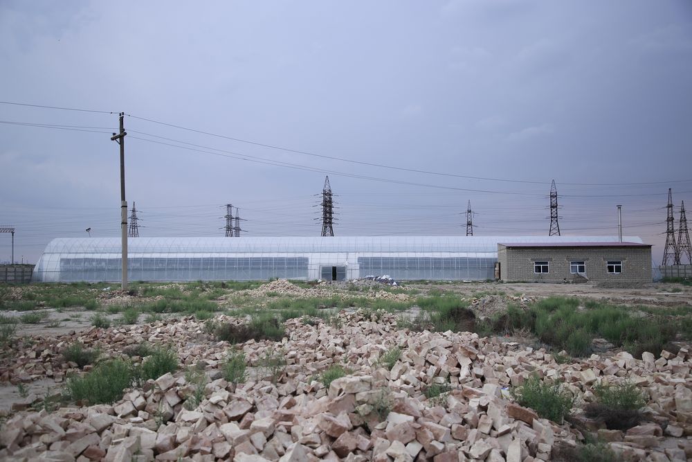 Issiqxona.parnik.teplitsa.иссиқхона парник теплитца