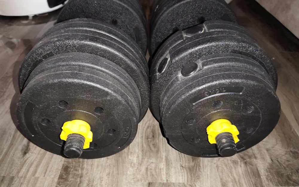 Set gantere 2x20kg