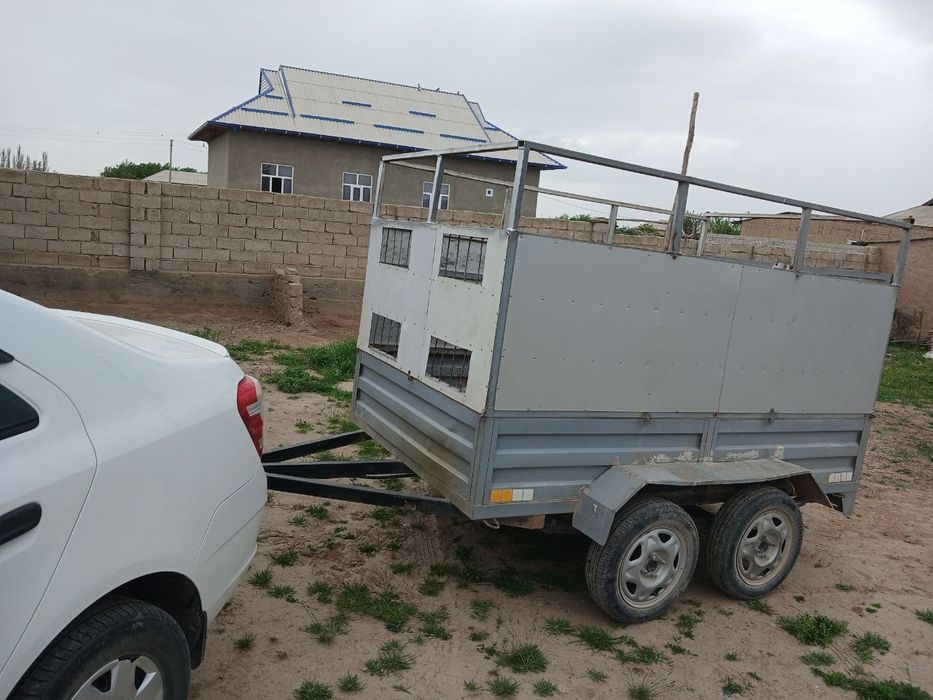 Moshina uchun tilichka