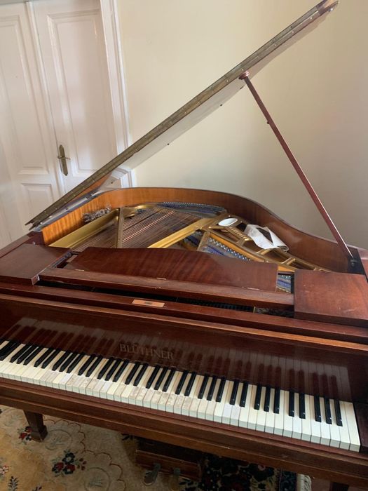 Pian coada scurta Blüthner