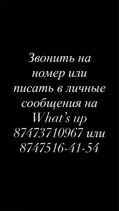 отдам котят в хорошие руки