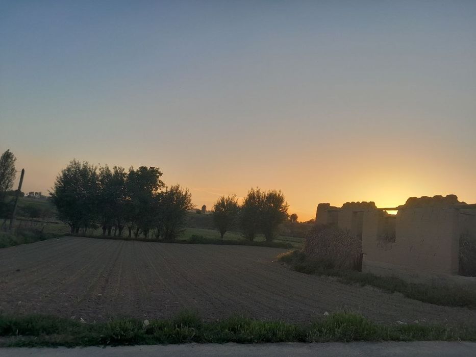 Yer Sotiladi 15 Sotx Chinoz Tumani Paxta Maxalasi