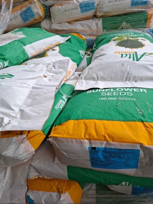 floarea soarelui de sămânță HYSUN 310SU/HYSUN 180IT