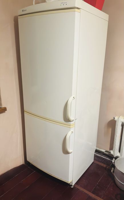 Холодильник Ardo 185х65 см