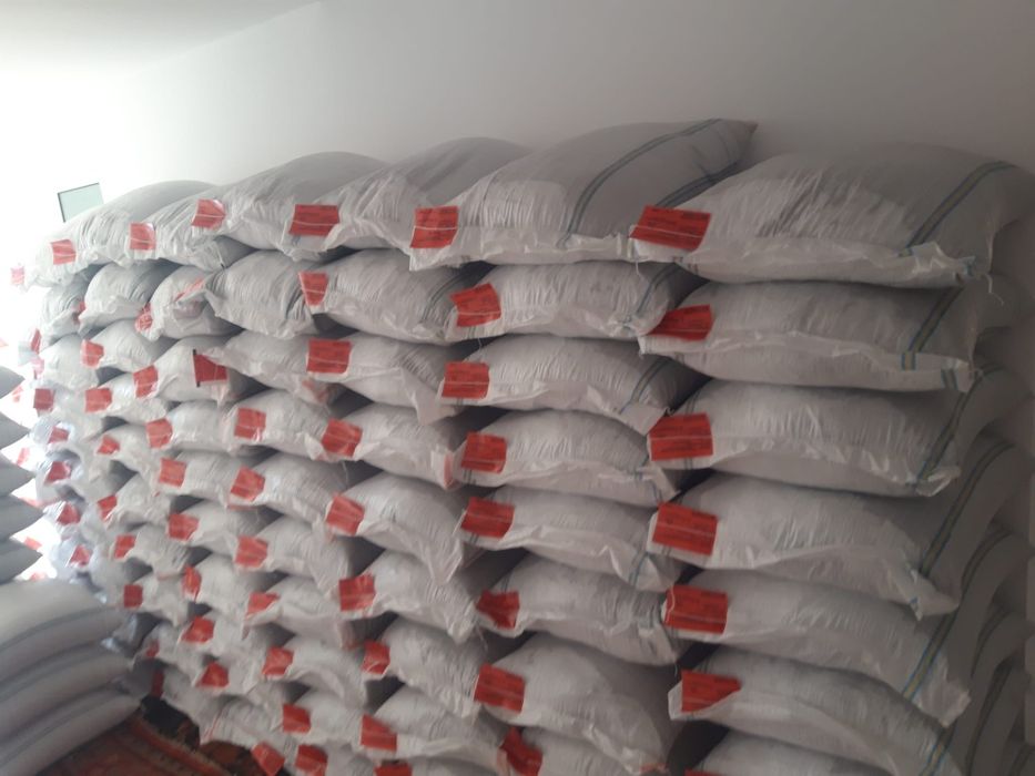 Sămânță Lucerna Certificata, Trifoi, Bromus, Sorg, Sudan, Iarba